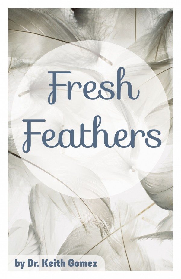 Fresh Feathers