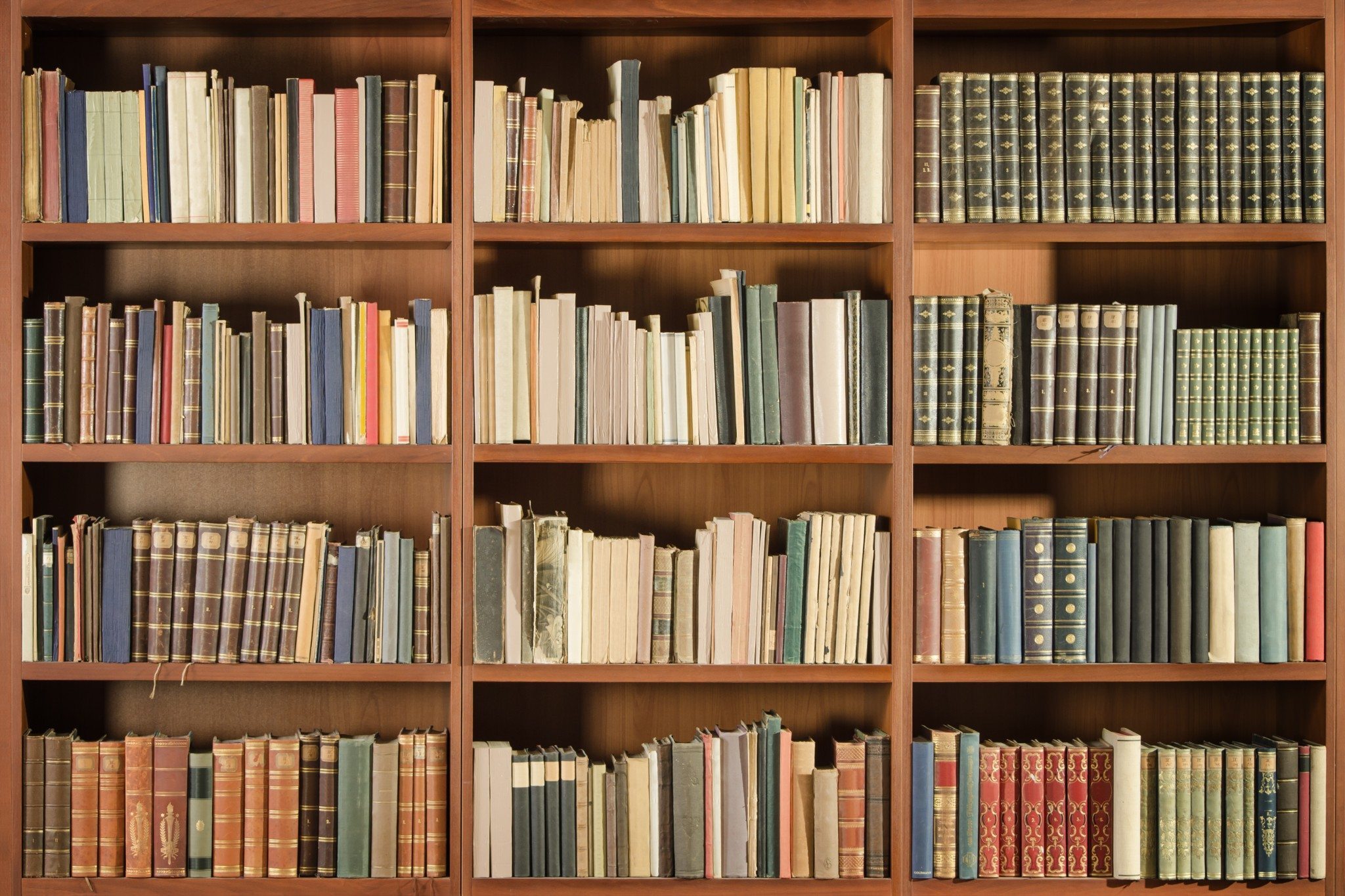 bookshelf of books