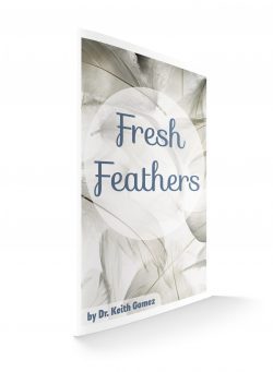 Fresh Feathers- anner